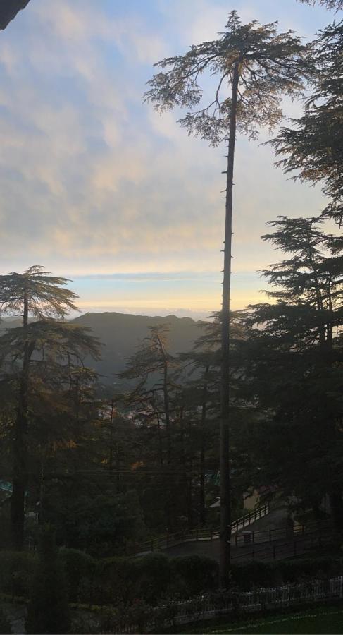 Bed and Breakfast The Edgeworth à Shimla Extérieur photo